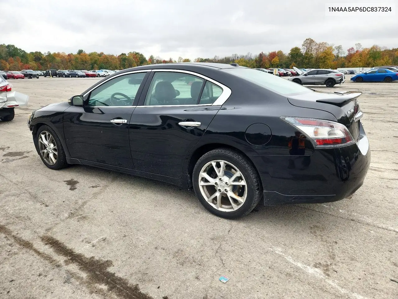 2013 NISSAN MAXIMA VIN 1N4AA5AP6DC837324 — фото 2