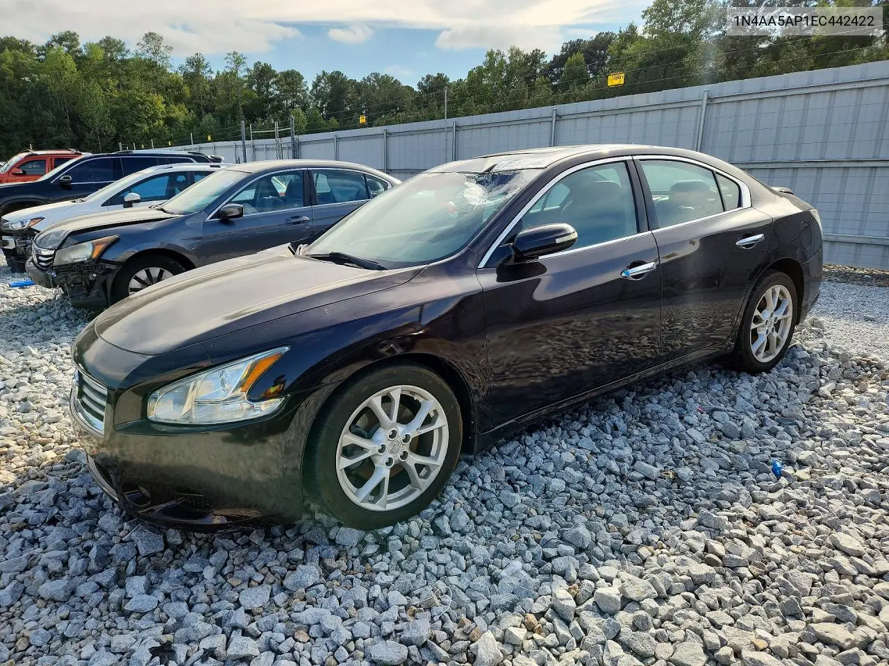 NISSAN MAXIMA 2014, VIN 1N4AA5AP1EC442422