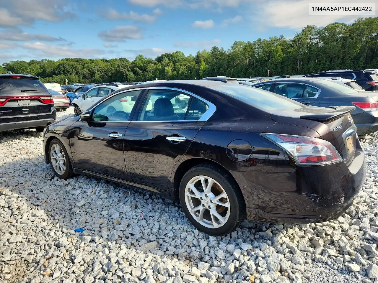 2014 NISSAN MAXIMA VIN 1N4AA5AP1EC442422 — фото 2