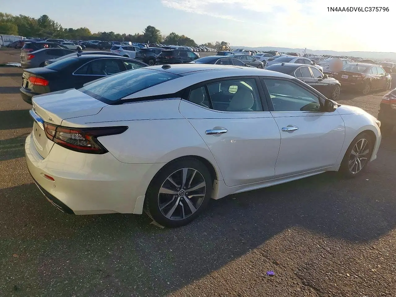 2020 NISSAN MAXIMA VIN 1N4AA6DV6LC375796 — фото 3