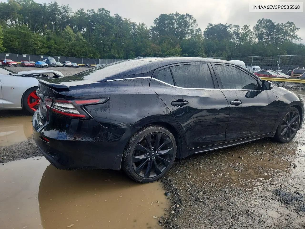 2023 NISSAN MAXIMA VIN 1N4AA6EV3PC505568 — фото 3