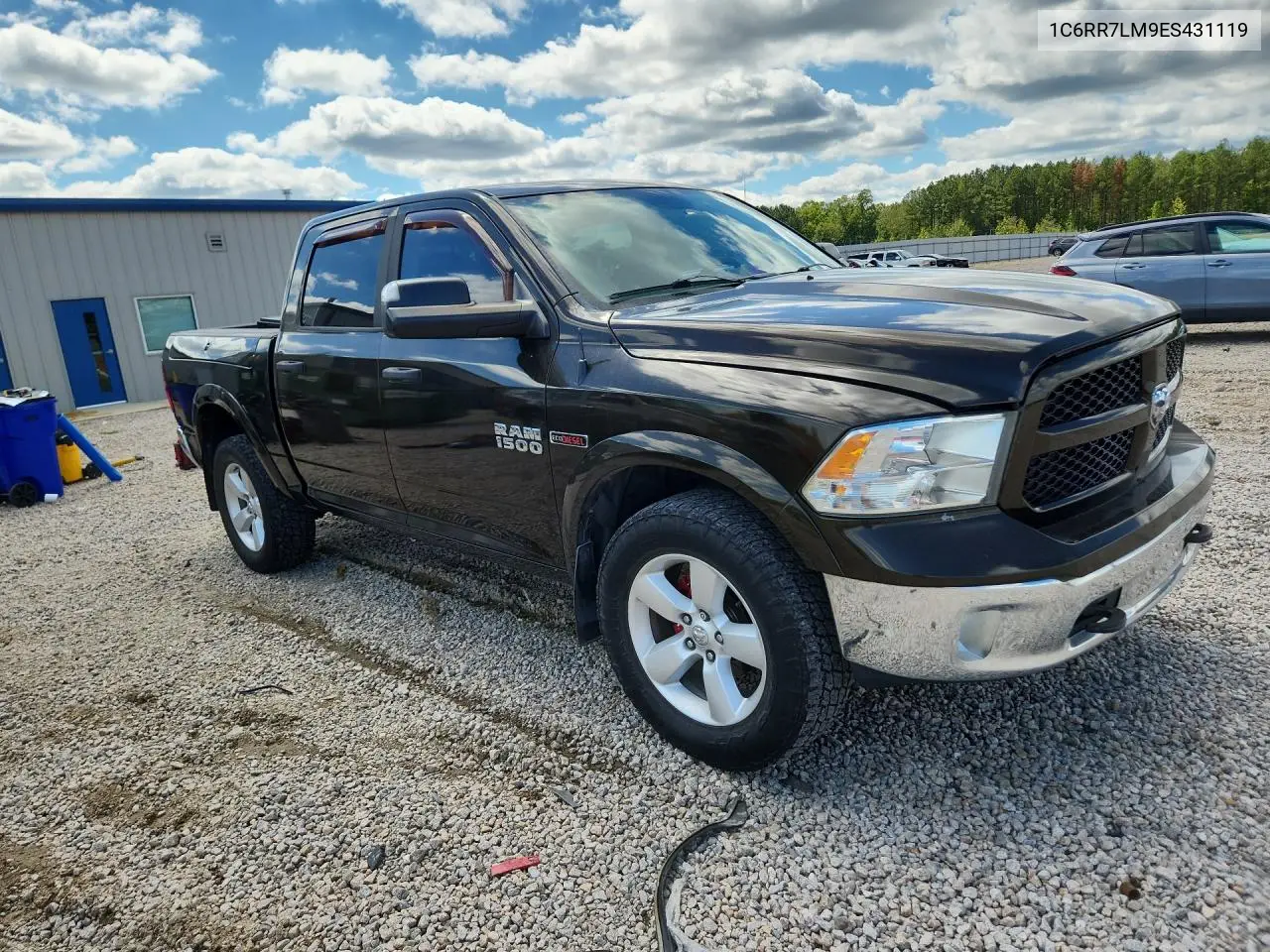 2014 RAM 1500 VIN 1C6RR7LM9ES431119 — фото 4