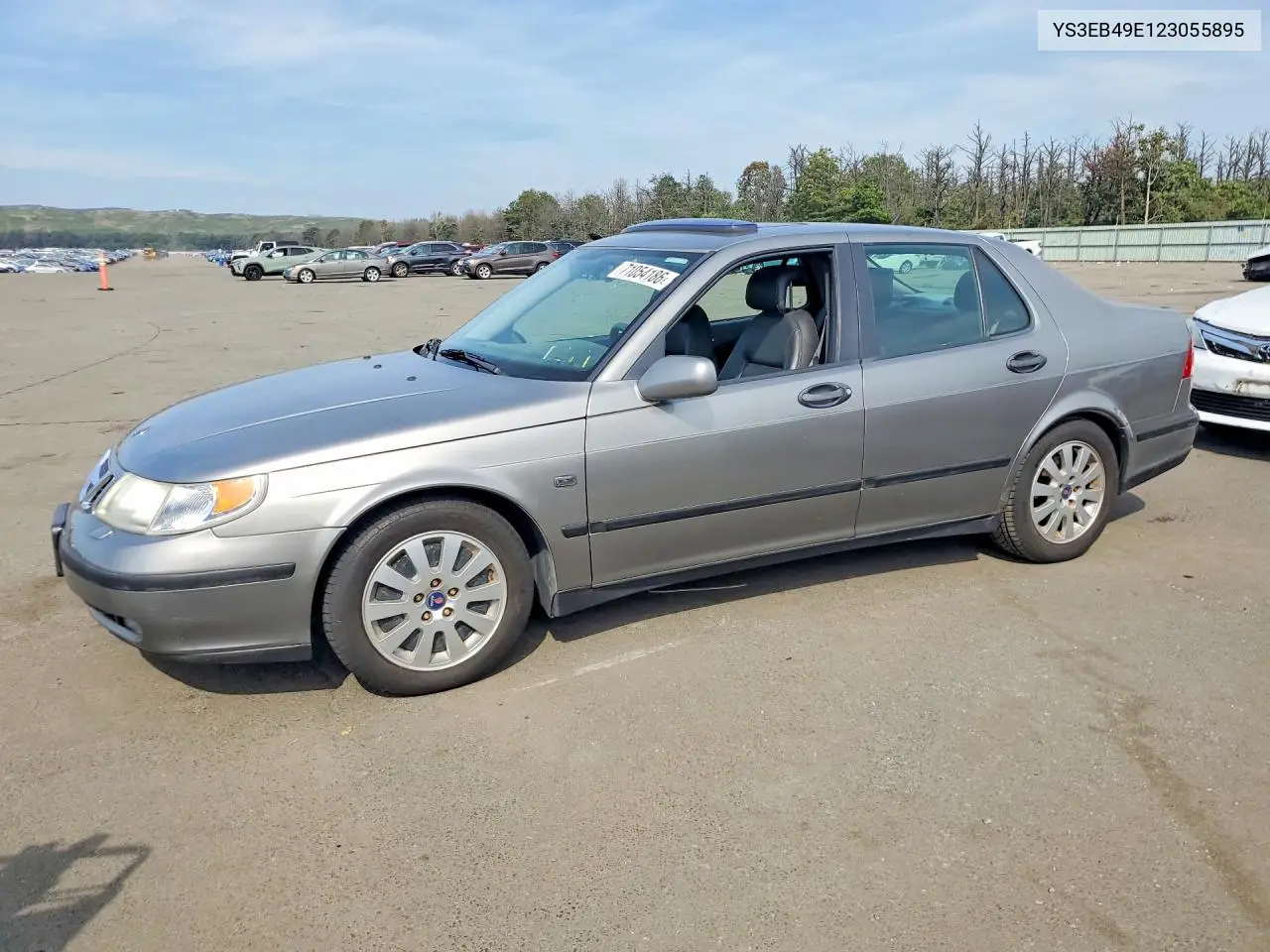 SAAB 9-5 2002, VIN YS3EB49E123055895