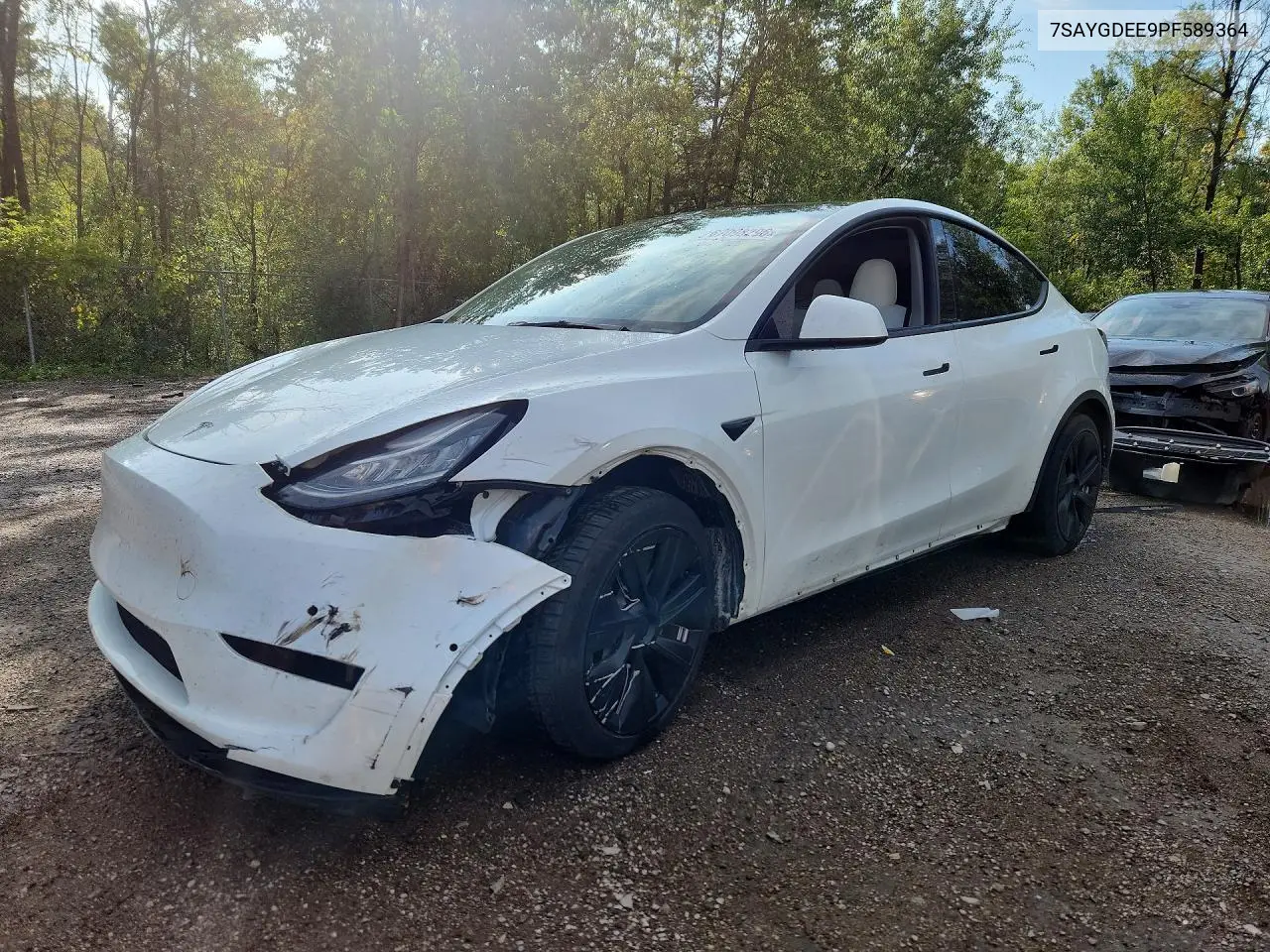 TESLA MODEL Y 2023, VIN 7SAYGDEE9PF589364