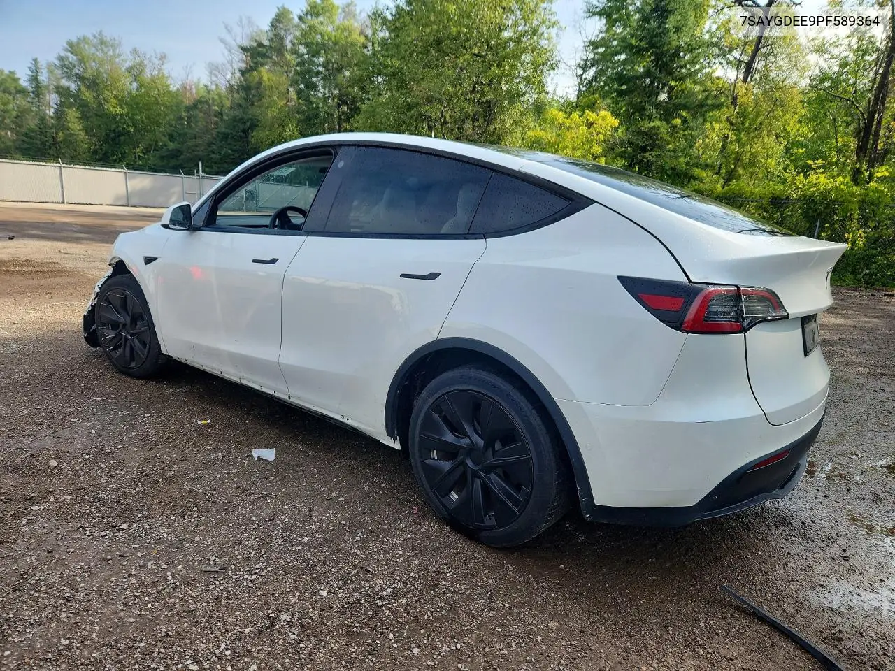 2023 TESLA MODEL Y VIN 7SAYGDEE9PF589364 — фото 2