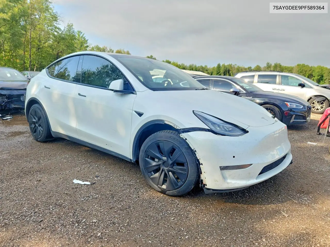 2023 TESLA MODEL Y VIN 7SAYGDEE9PF589364 — фото 4