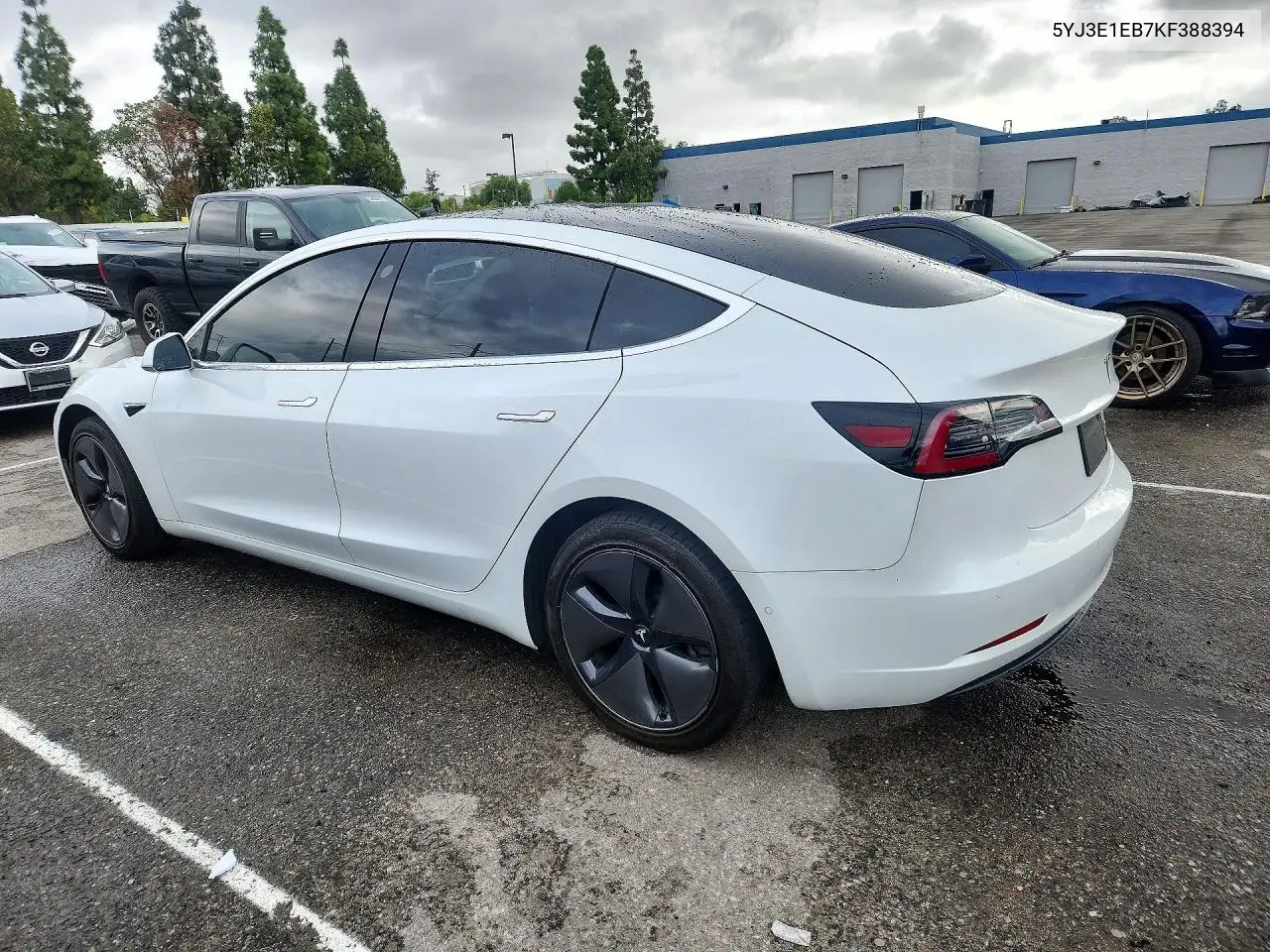 2019 TESLA MODEL 3 VIN 5YJ3E1EB7KF388394 — фото 2