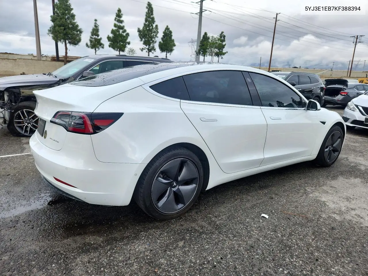 2019 TESLA MODEL 3 VIN 5YJ3E1EB7KF388394 — фото 3
