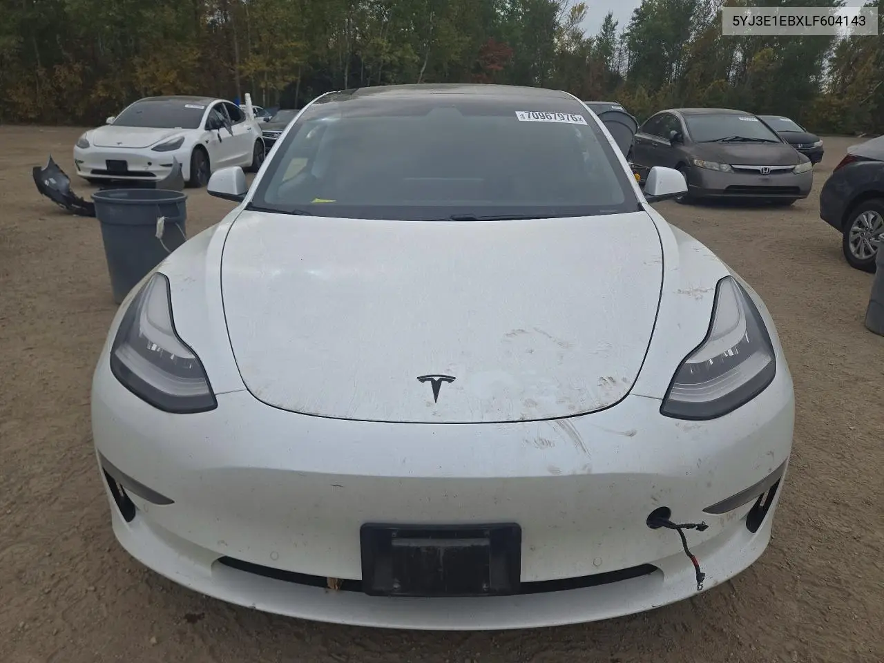 2020 TESLA MODEL 3 VIN 5YJ3E1EBXLF604143 — фото 5