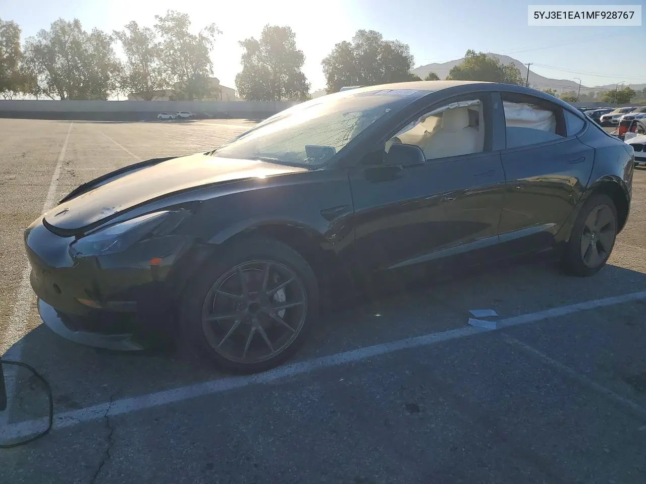 TESLA MODEL 3 2021, VIN 5YJ3E1EA1MF928767