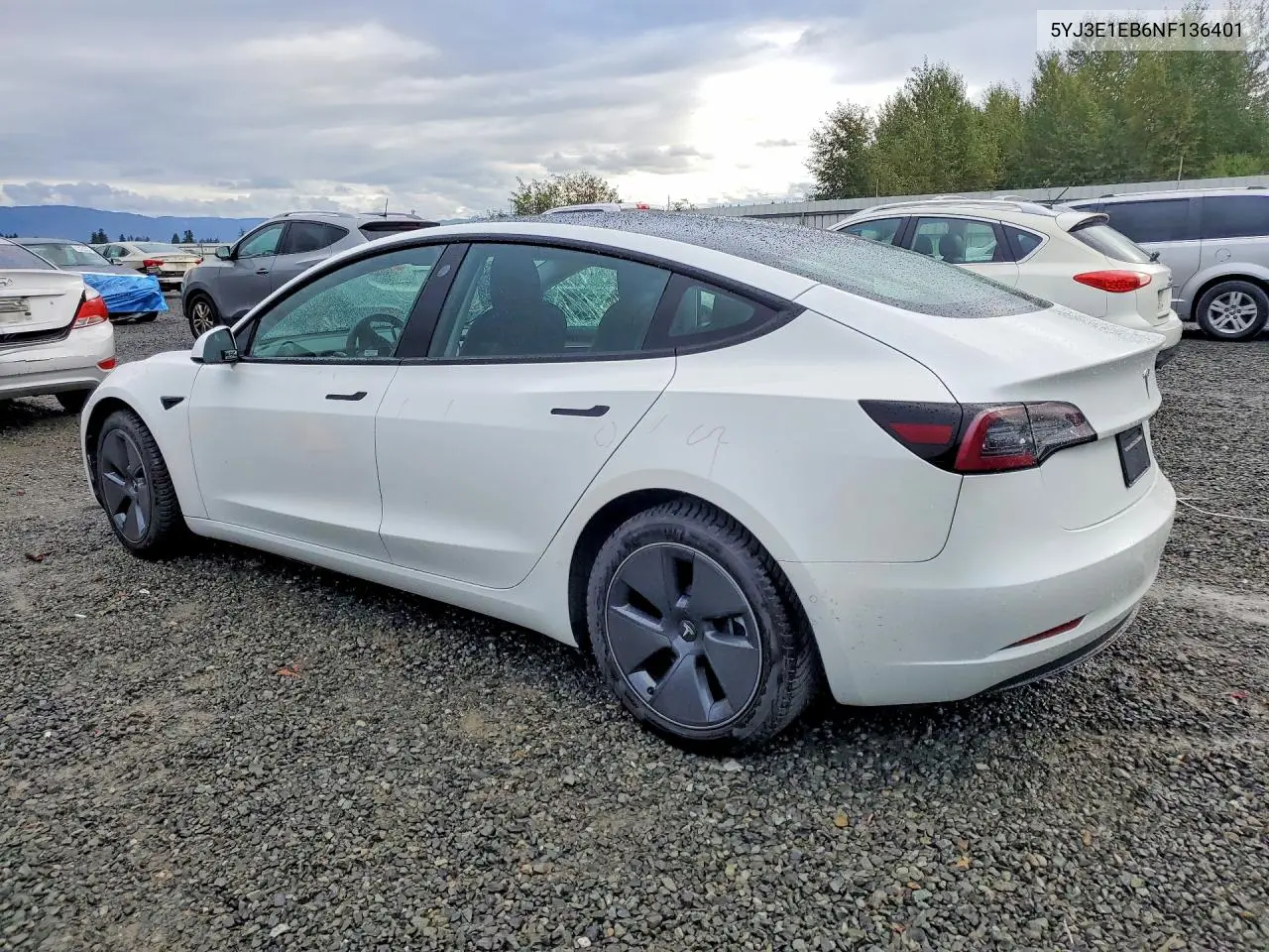 2022 TESLA MODEL 3 VIN 5YJ3E1EB6NF136401 — фото 2