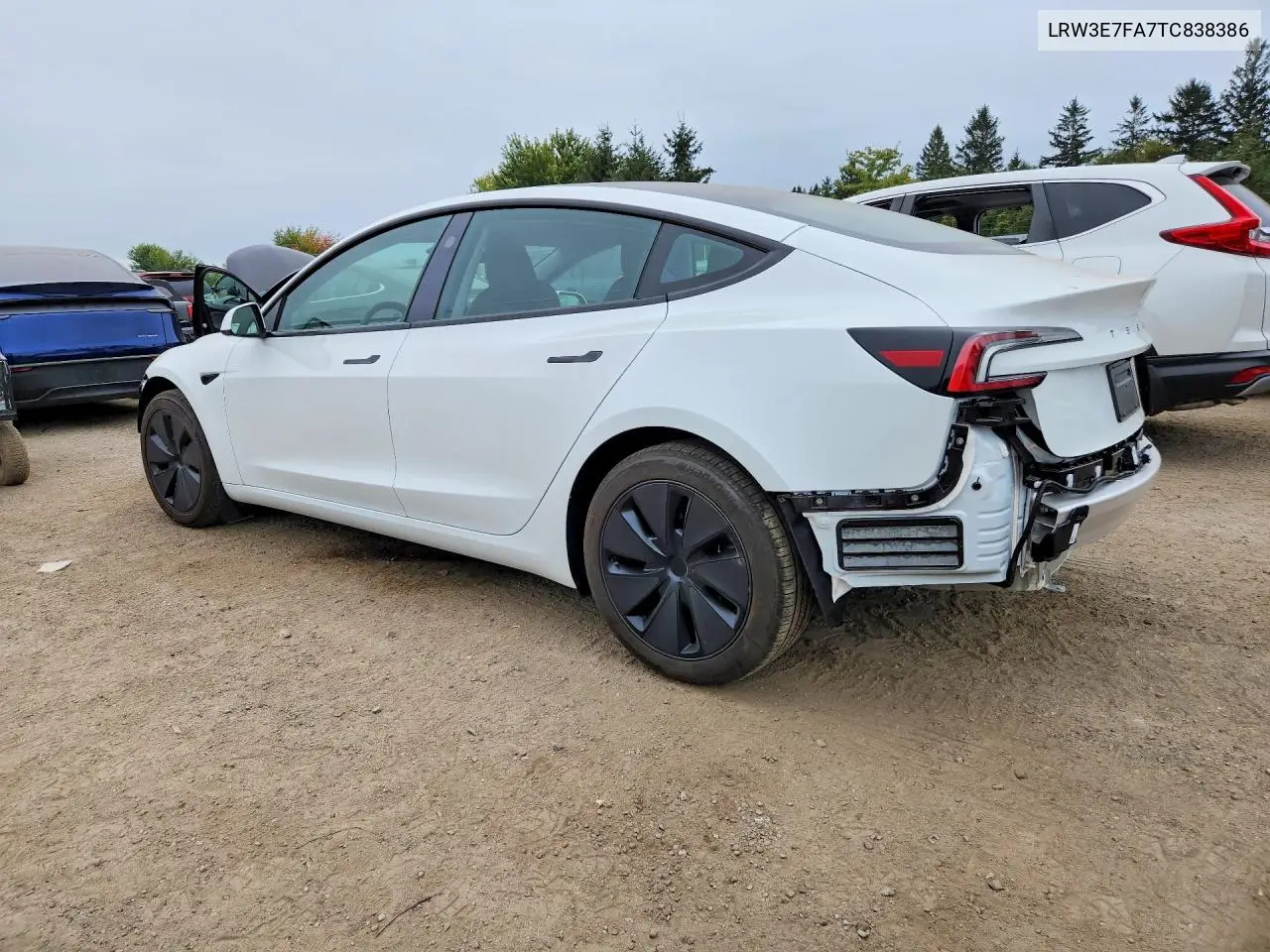2026 TESLA MODEL 3 VIN LRW3E7FA7TC838386 — фото 2