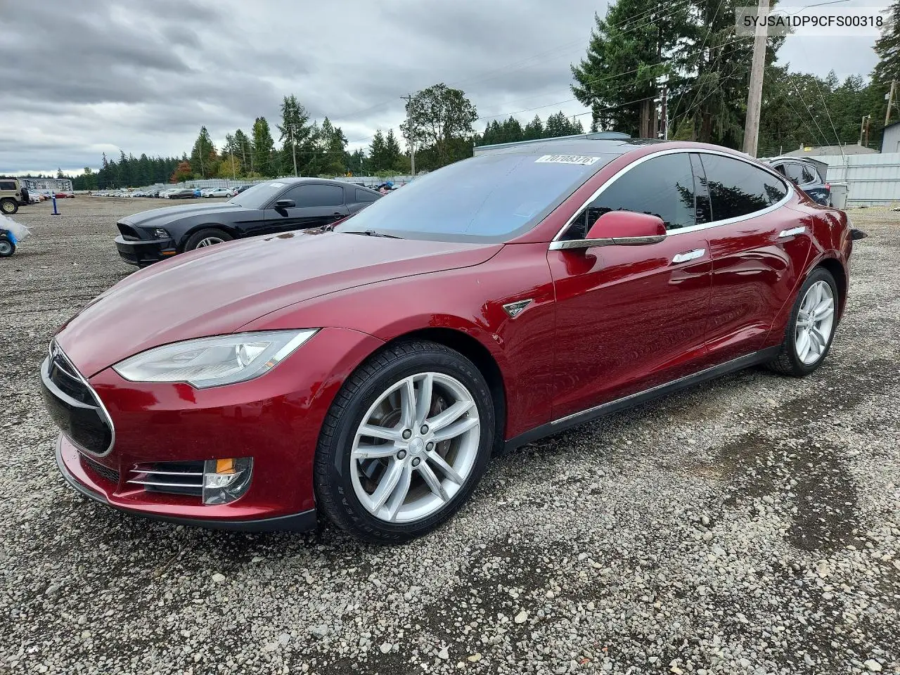 TESLA MODEL S 2012, VIN 5YJSA1DP9CFS00318