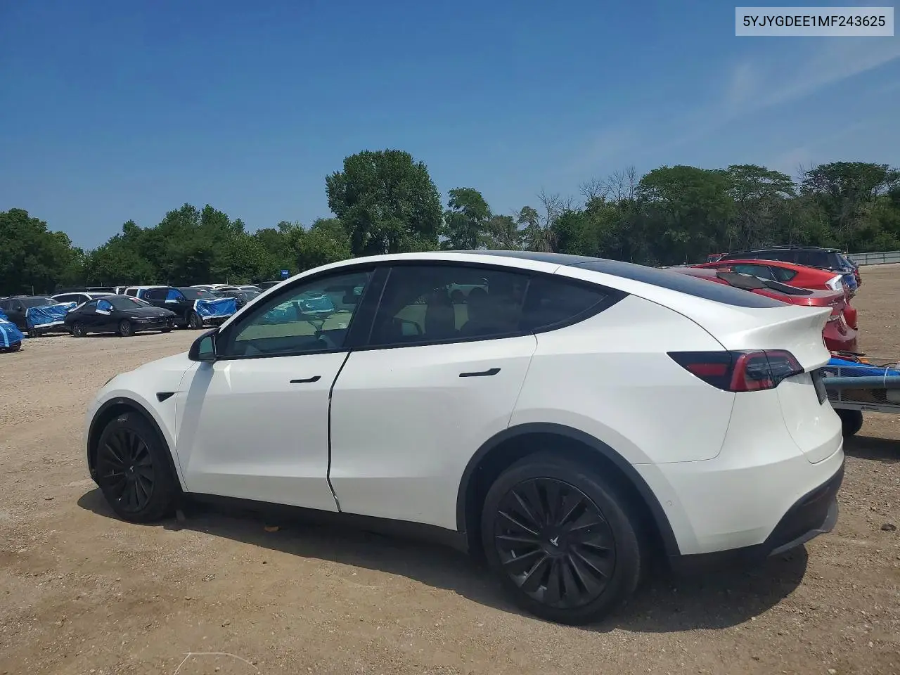 2021 TESLA MODEL Y VIN 5YJYGDEE1MF243625 — фото 2