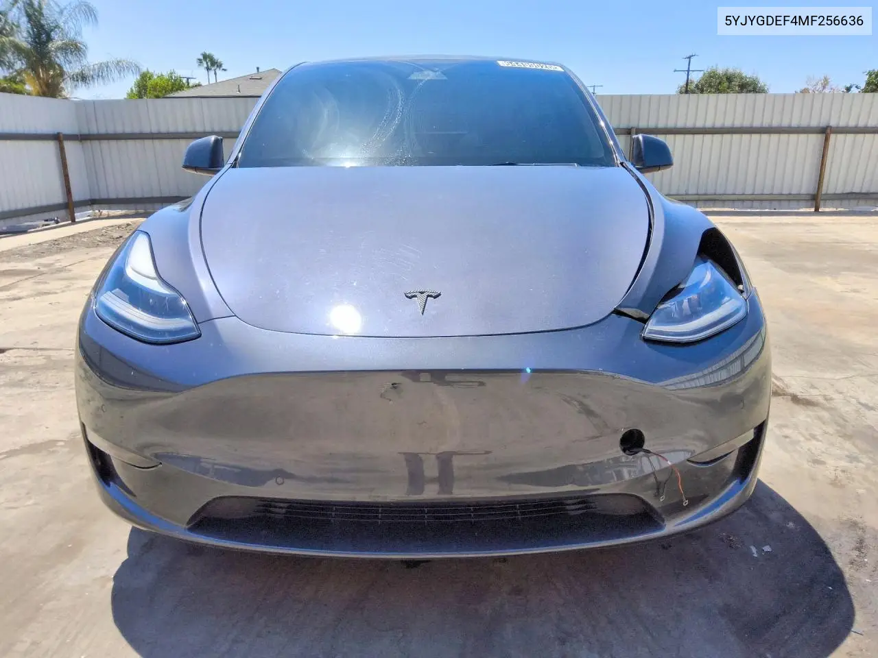 2021 TESLA MODEL Y VIN 5YJYGDEF4MF256636 — фото 5