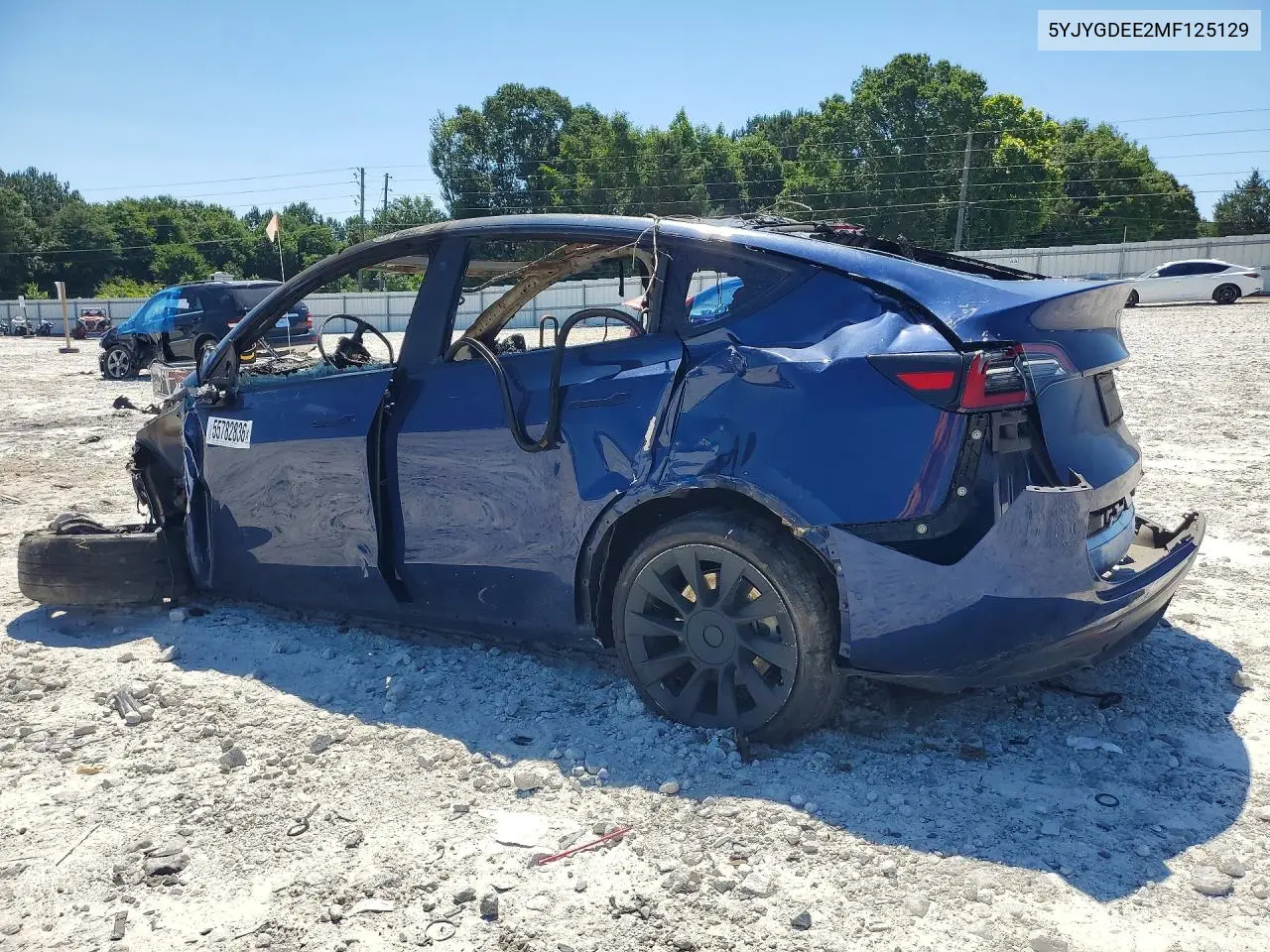 2021 TESLA MODEL Y VIN 5YJYGDEE2MF125129 — фото 2