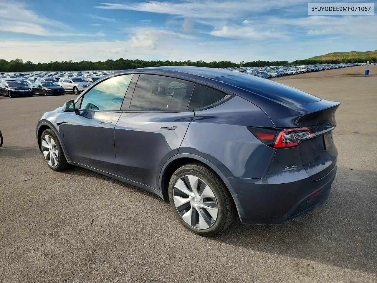 2021 TESLA MODEL Y VIN 5YJYGDEE9MF071067 — фото 2