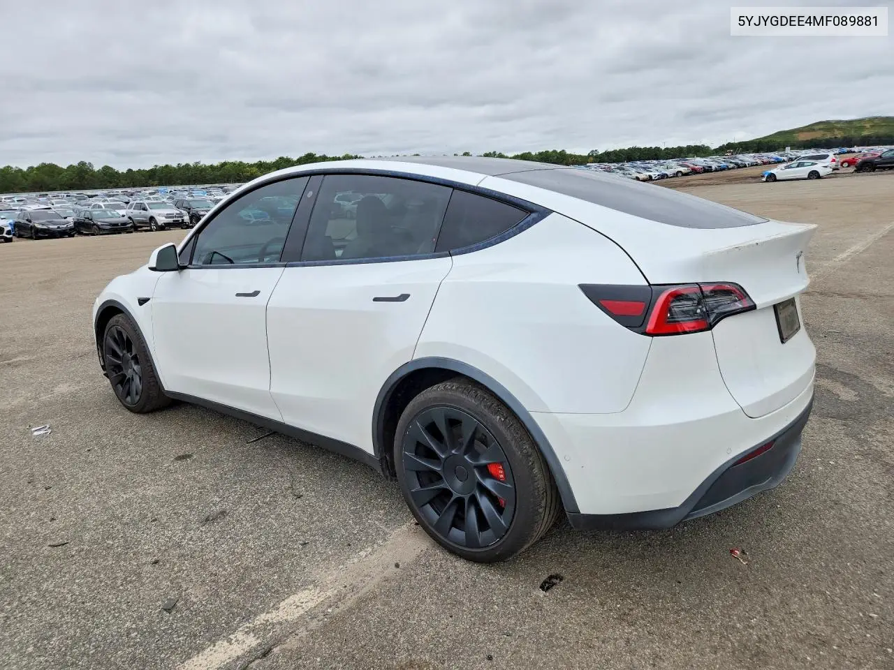 2021 TESLA MODEL Y VIN 5YJYGDEE4MF089881 — фото 2