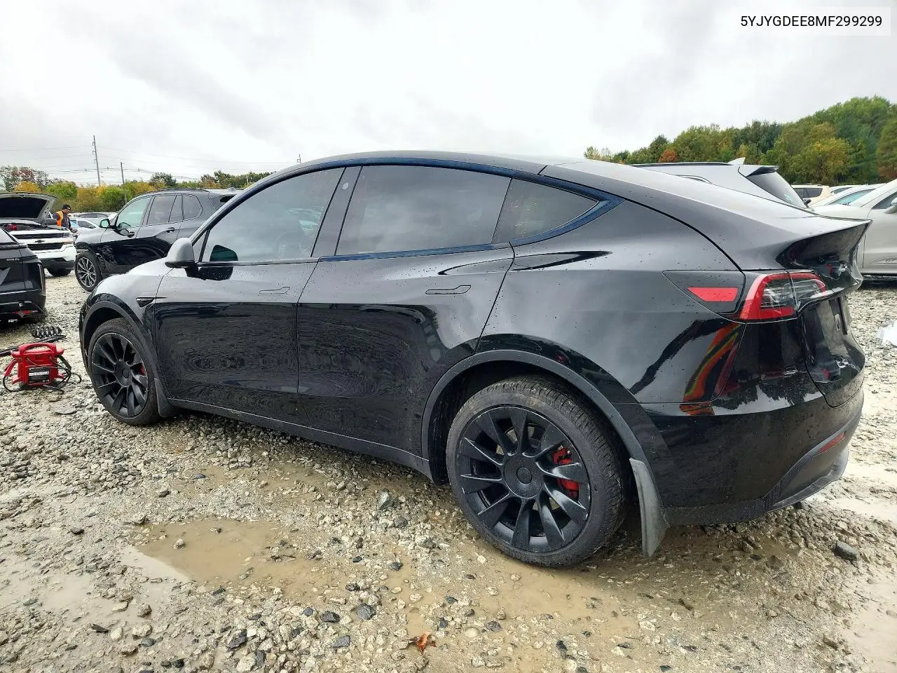 2021 TESLA MODEL Y VIN 5YJYGDEE8MF299299 — фото 2