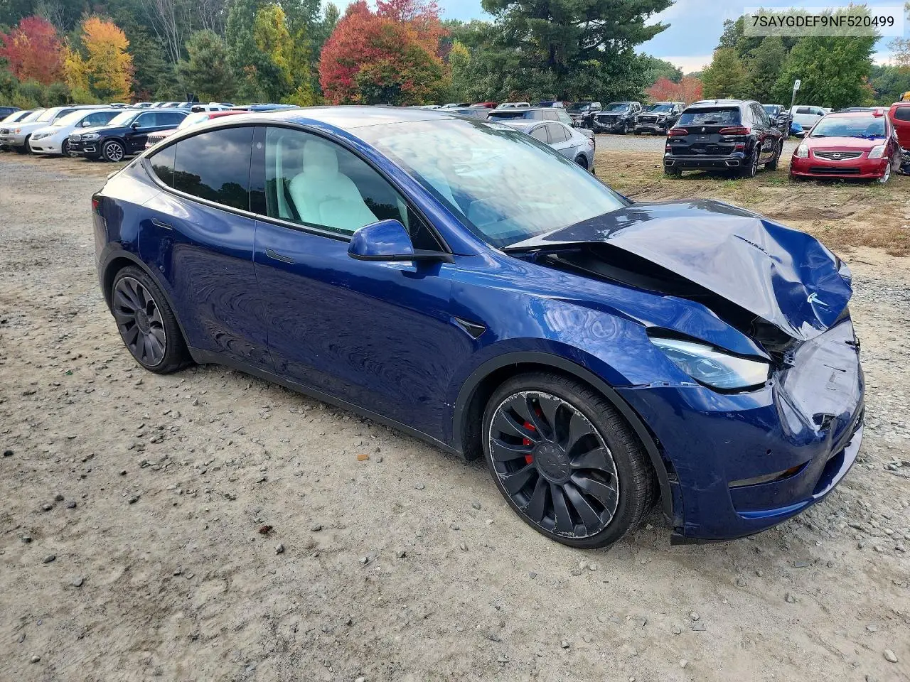 2022 TESLA MODEL Y VIN 7SAYGDEF9NF520499 — фото 4