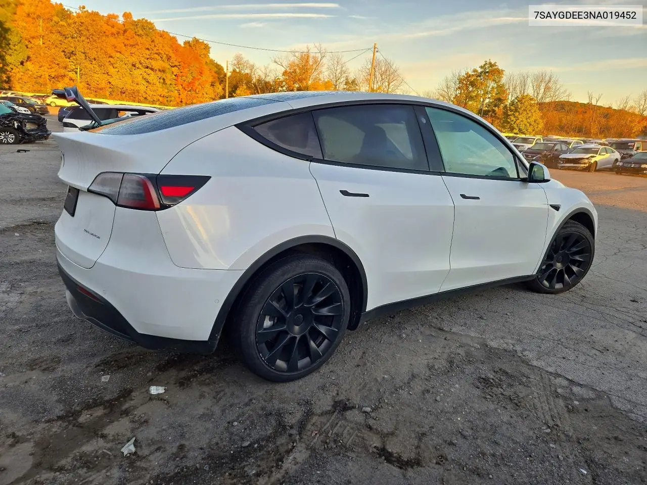 2022 TESLA MODEL Y VIN 7SAYGDEE3NA019452 — фото 3