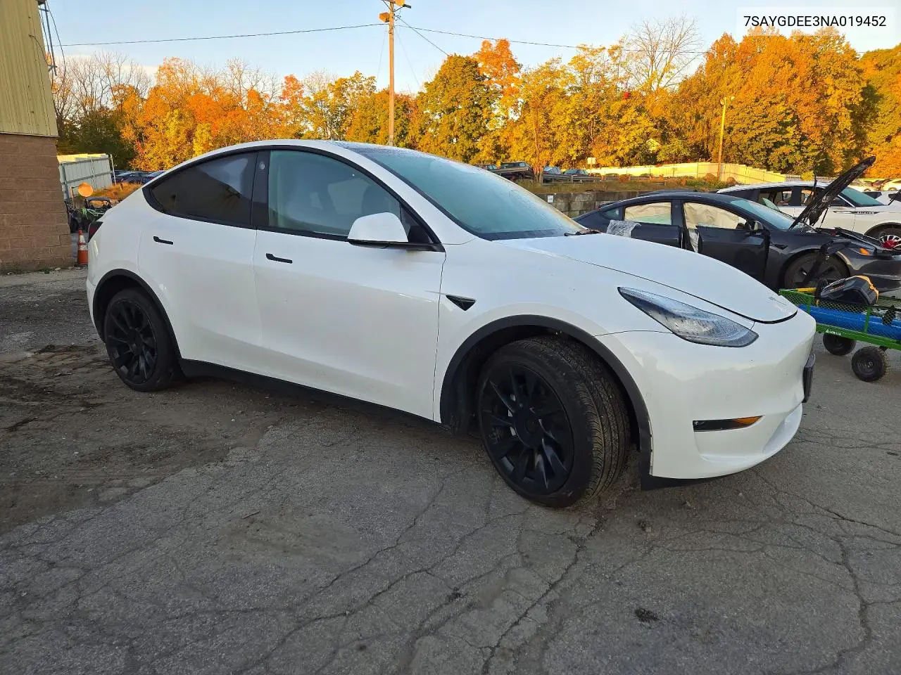 2022 TESLA MODEL Y VIN 7SAYGDEE3NA019452 — фото 4
