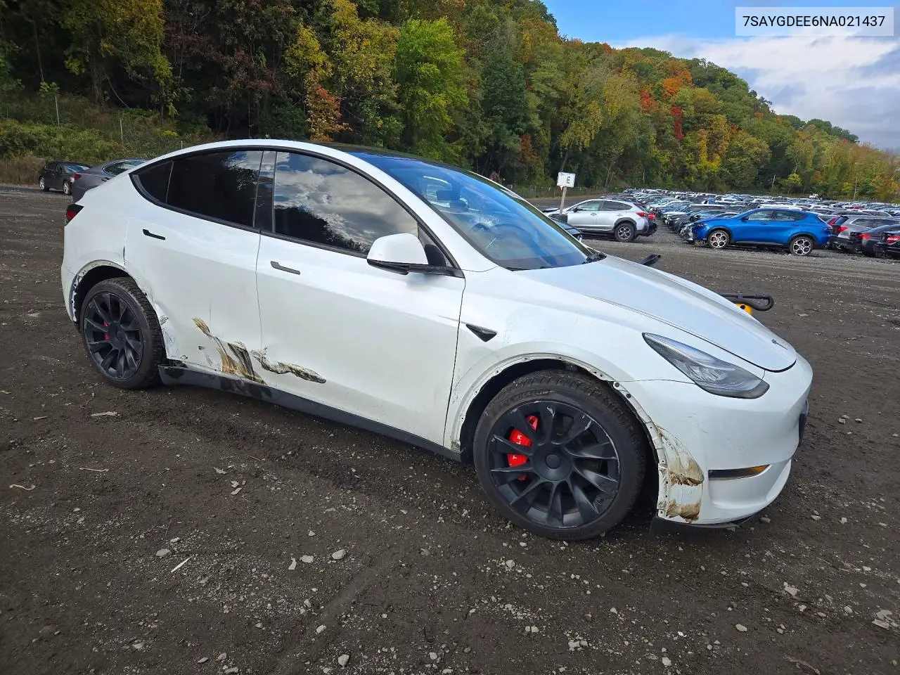 2022 TESLA MODEL Y VIN 7SAYGDEE6NA021437 — фото 4