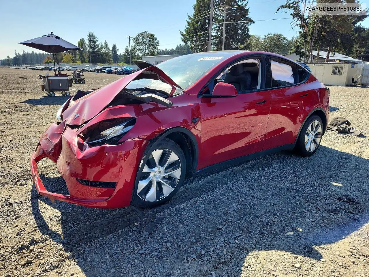 TESLA MODEL Y 2023, VIN 7SAYGDEE3PF810859