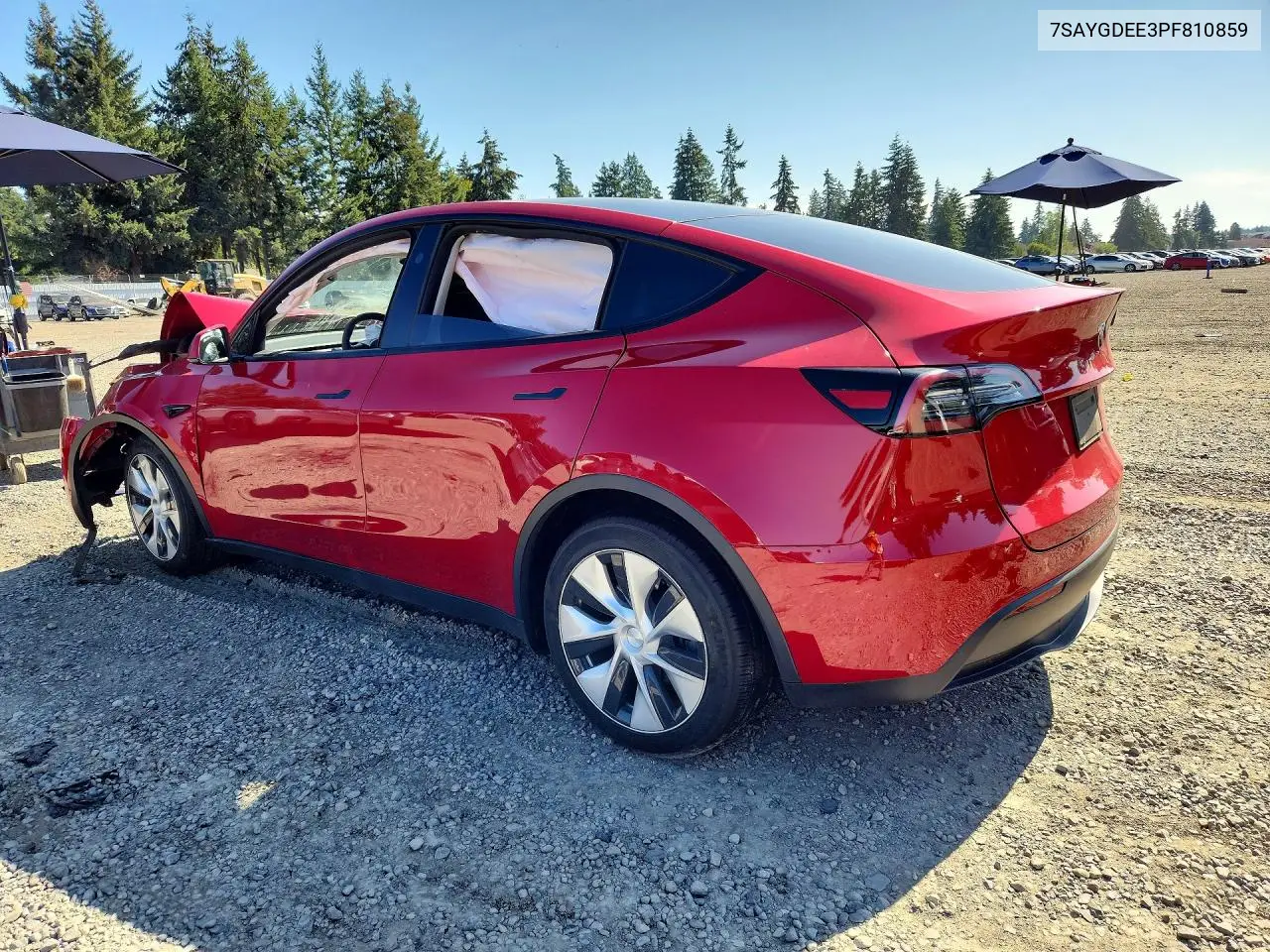 2023 TESLA MODEL Y VIN 7SAYGDEE3PF810859 — фото 2