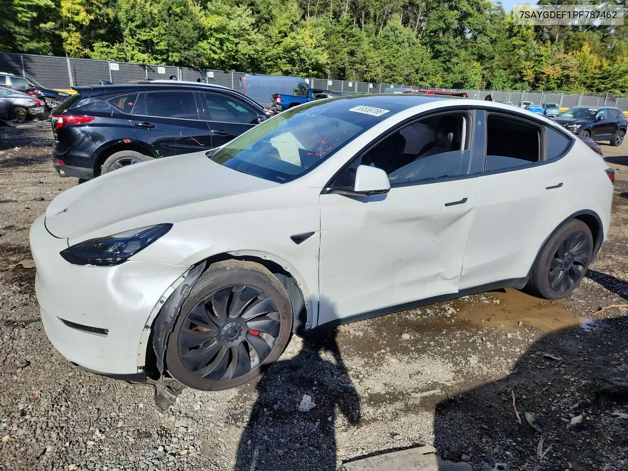 TESLA MODEL Y 2023, VIN 7SAYGDEF1PF787462