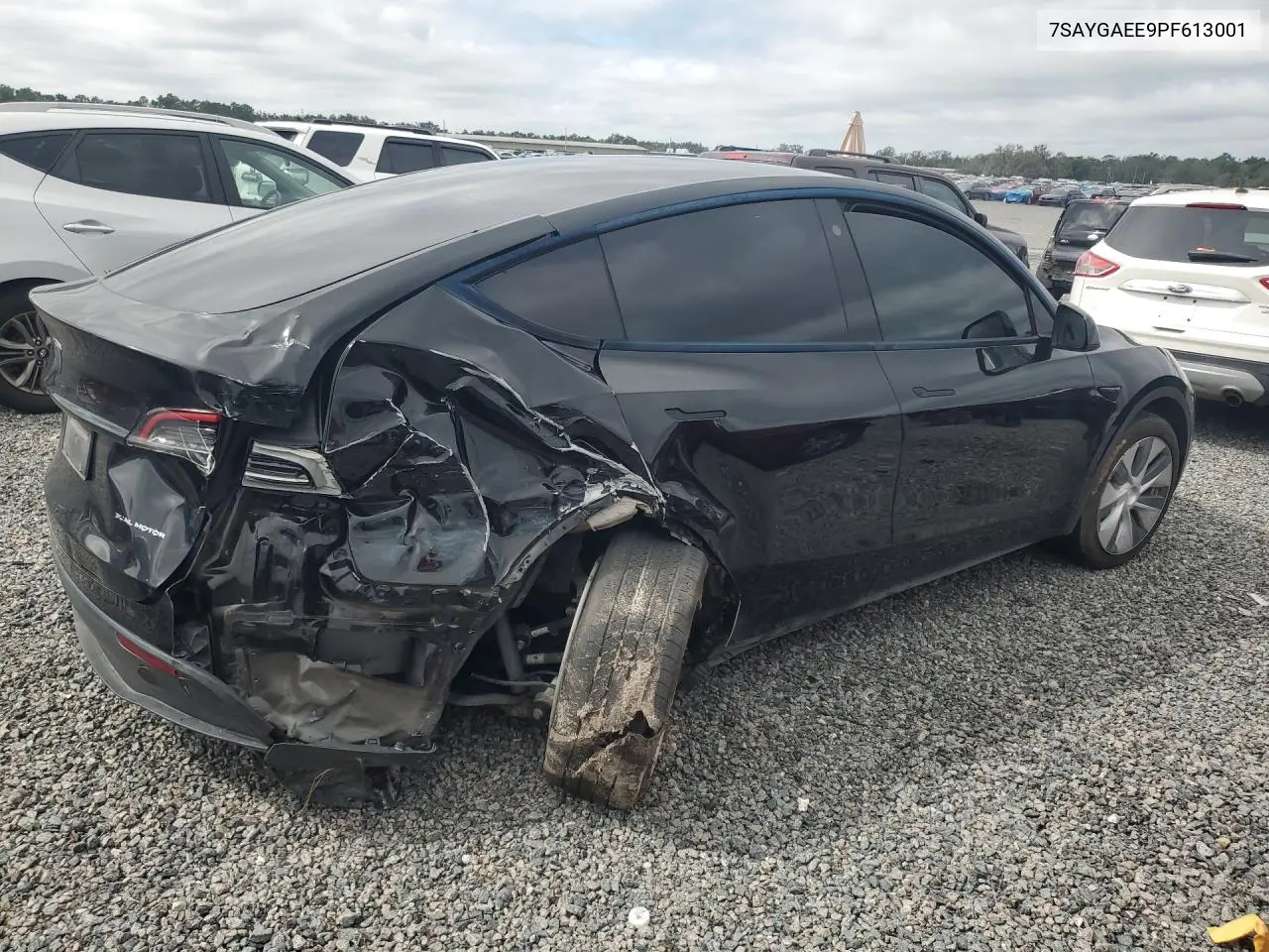 2023 TESLA MODEL Y VIN 7SAYGAEE9PF613001 — фото 3
