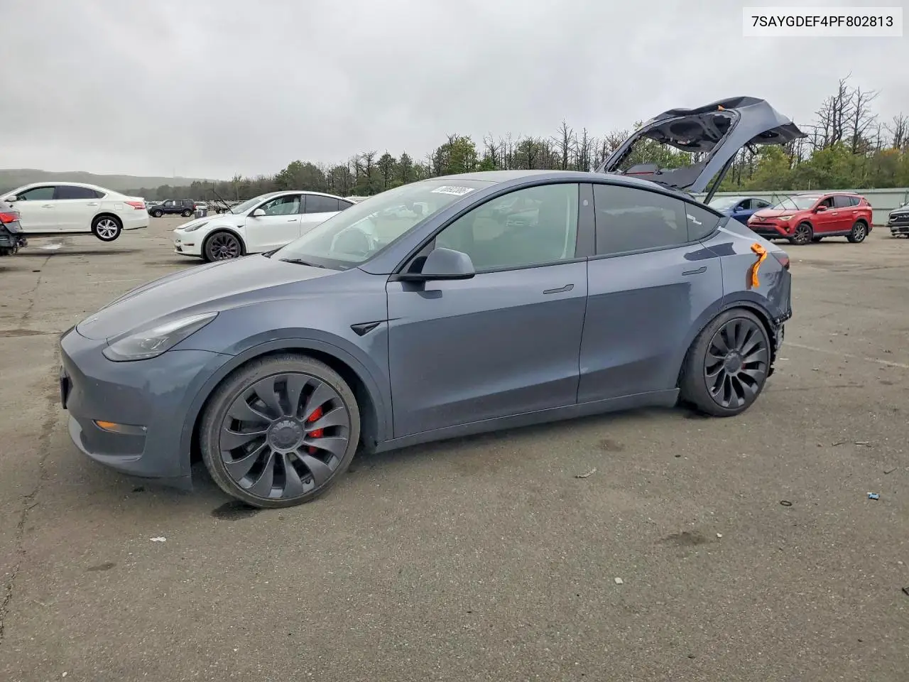 TESLA MODEL Y 2023, VIN 7SAYGDEF4PF802813