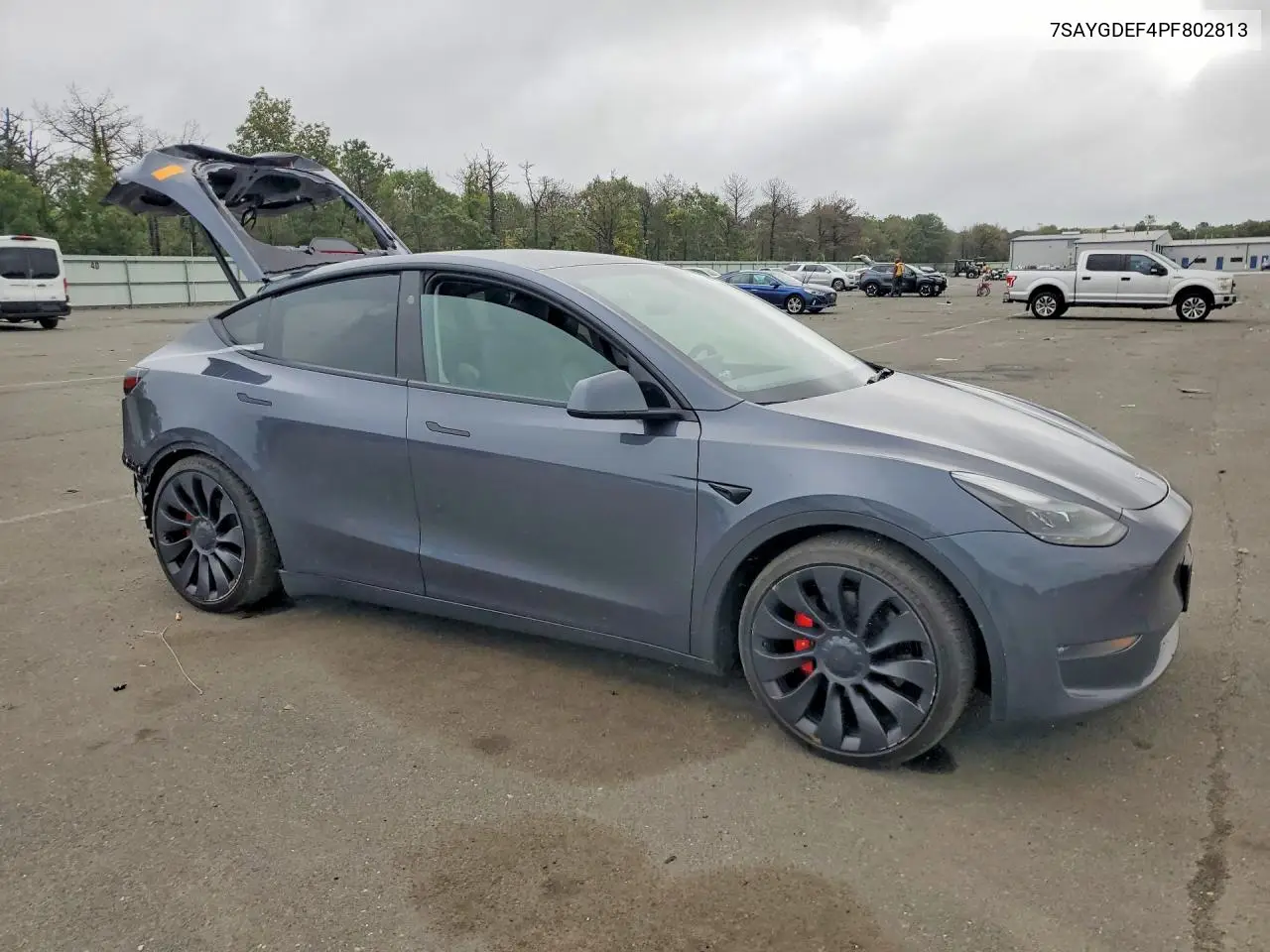 2023 TESLA MODEL Y VIN 7SAYGDEF4PF802813 — фото 4
