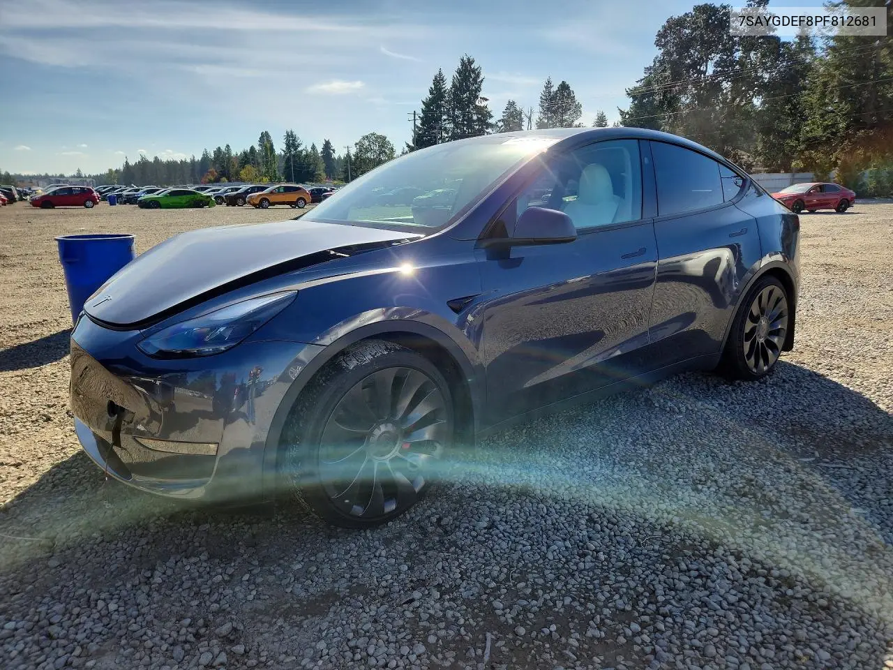 TESLA MODEL Y 2023, VIN 7SAYGDEF8PF812681