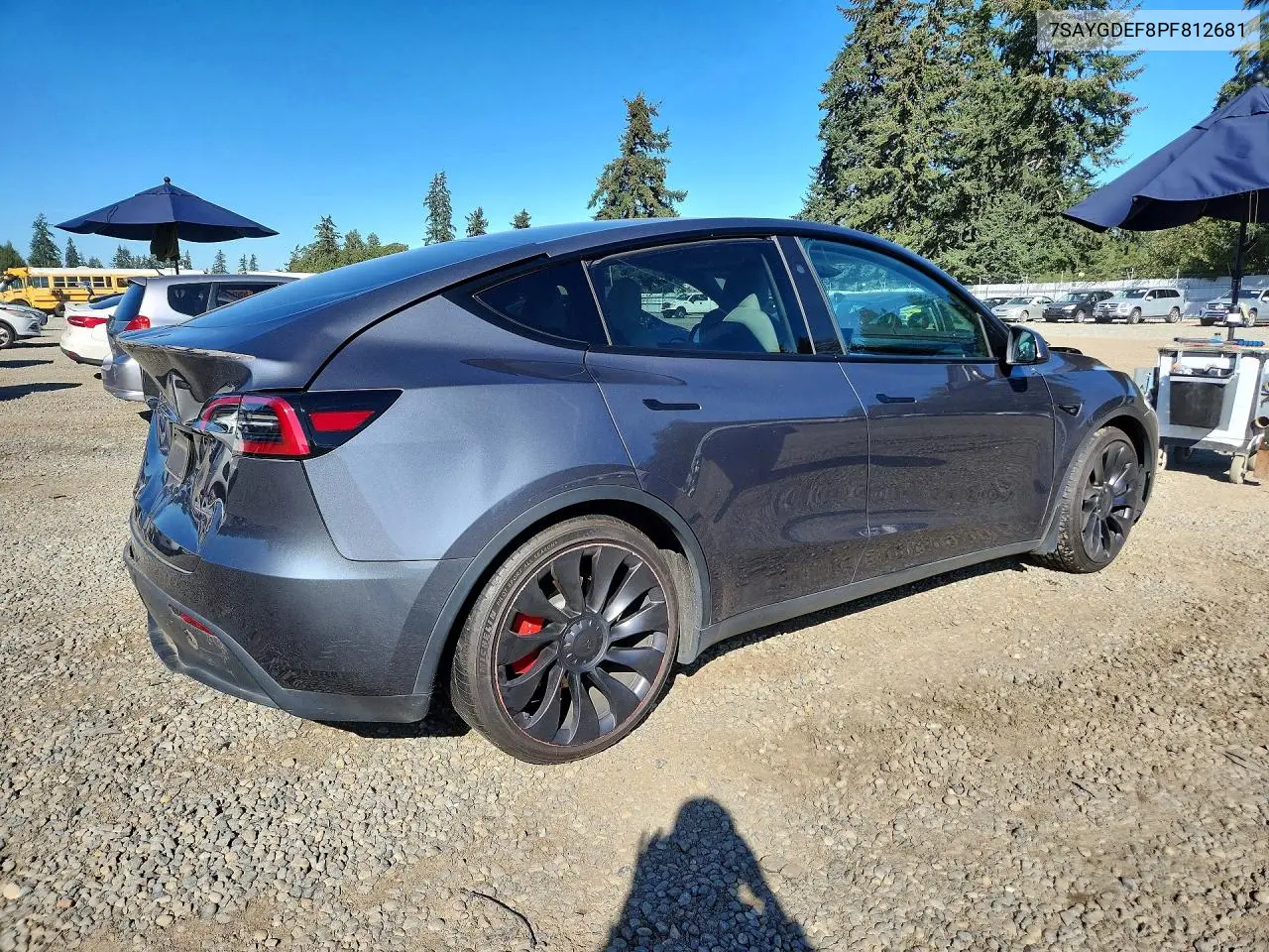 2023 TESLA MODEL Y VIN 7SAYGDEF8PF812681 — фото 3