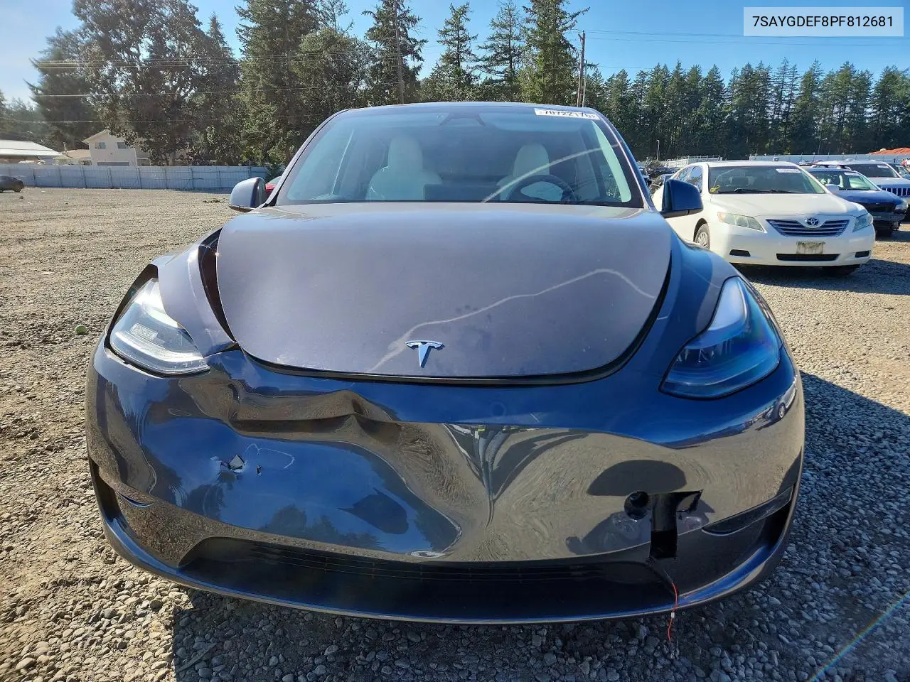 2023 TESLA MODEL Y VIN 7SAYGDEF8PF812681 — фото 5