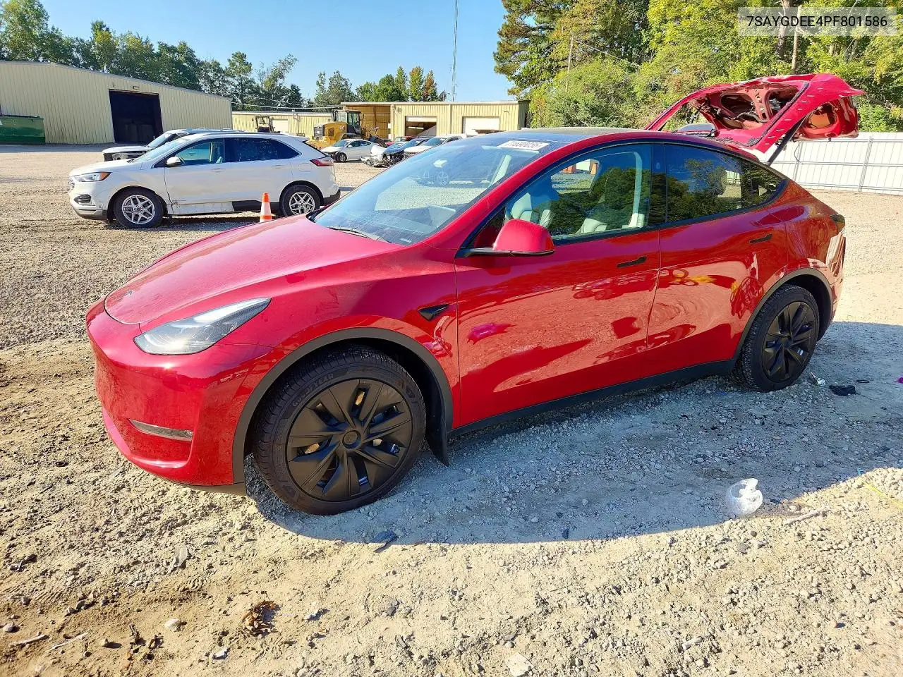 TESLA MODEL Y 2023, VIN 7SAYGDEE4PF801586