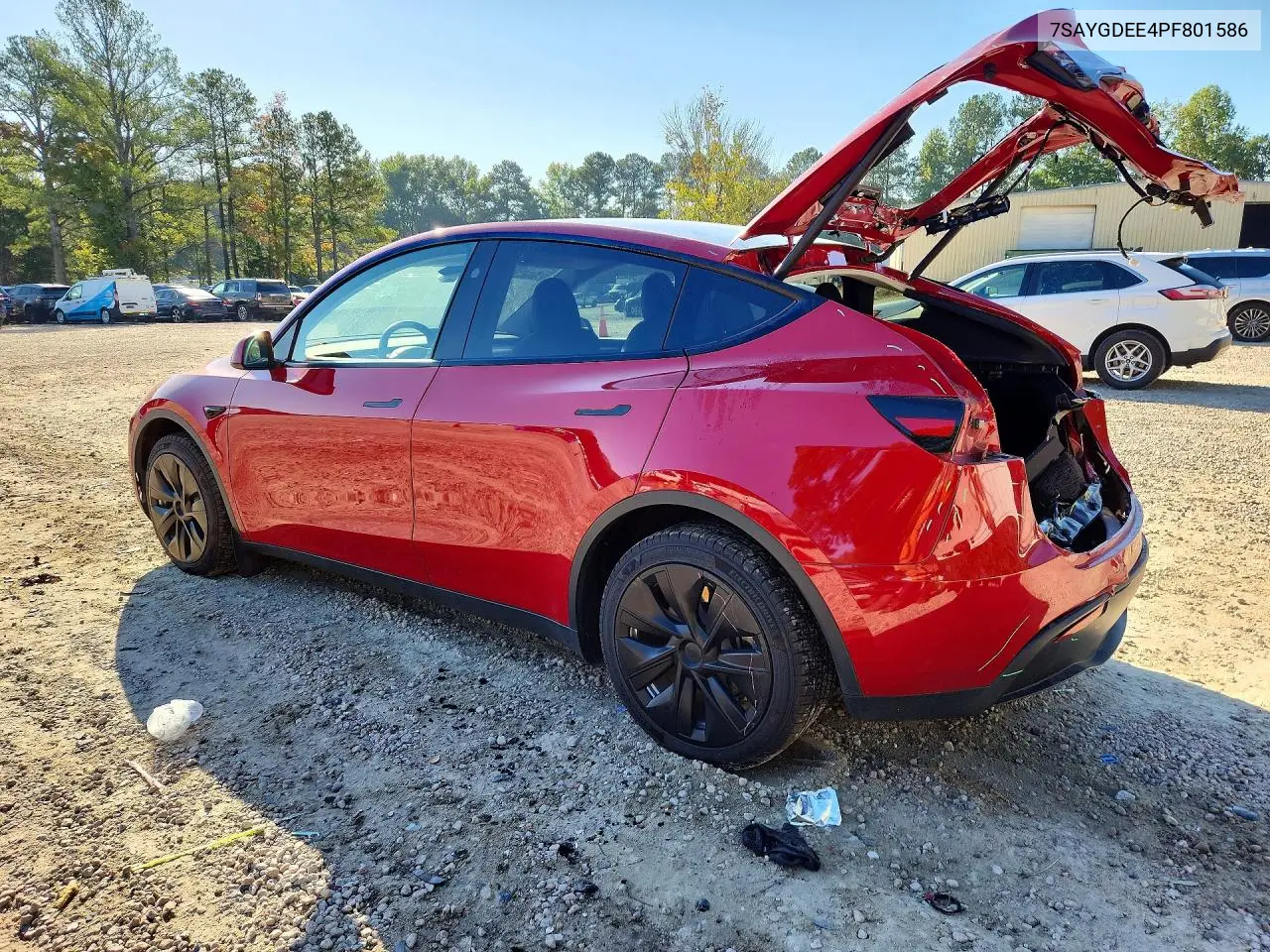 2023 TESLA MODEL Y VIN 7SAYGDEE4PF801586 — фото 2