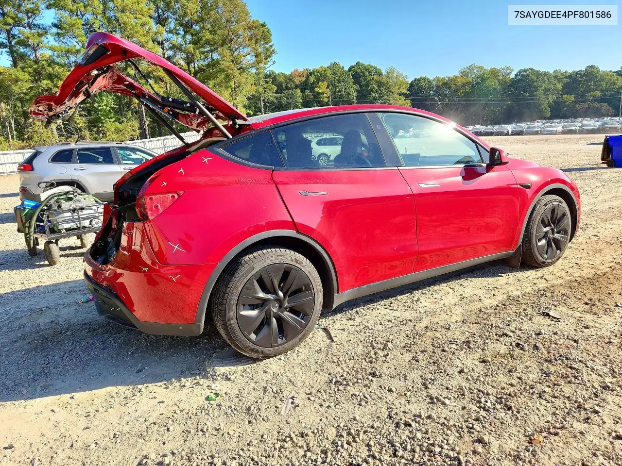 2023 TESLA MODEL Y VIN 7SAYGDEE4PF801586 — фото 3