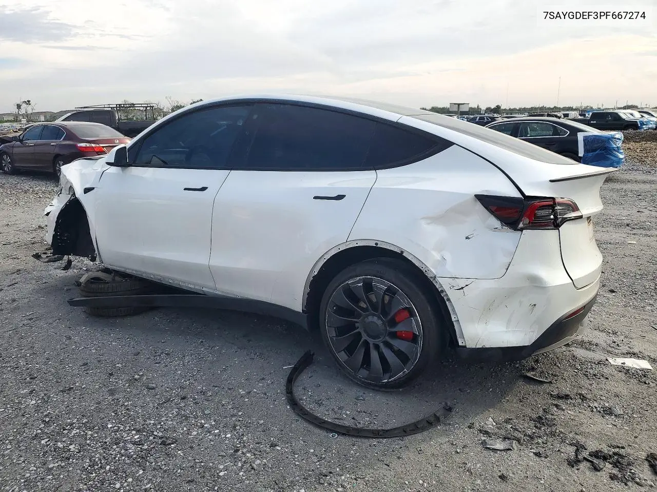 2023 TESLA MODEL Y VIN 7SAYGDEF3PF667274 — фото 2
