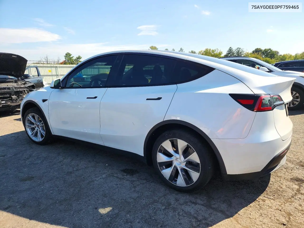 2023 TESLA MODEL Y VIN 7SAYGDEE0PF759465 — фото 2