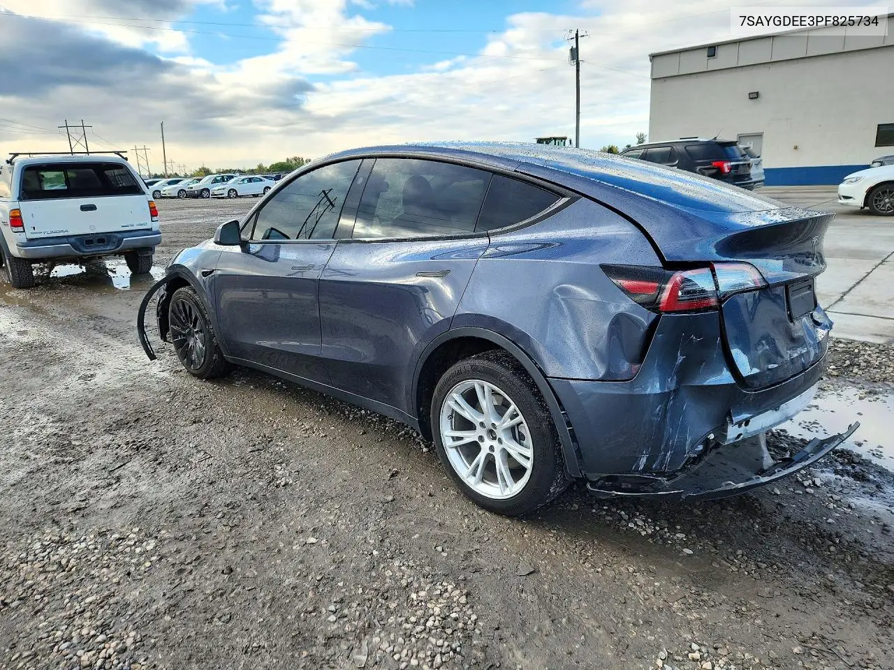 2023 TESLA MODEL Y VIN 7SAYGDEE3PF825734 — фото 2
