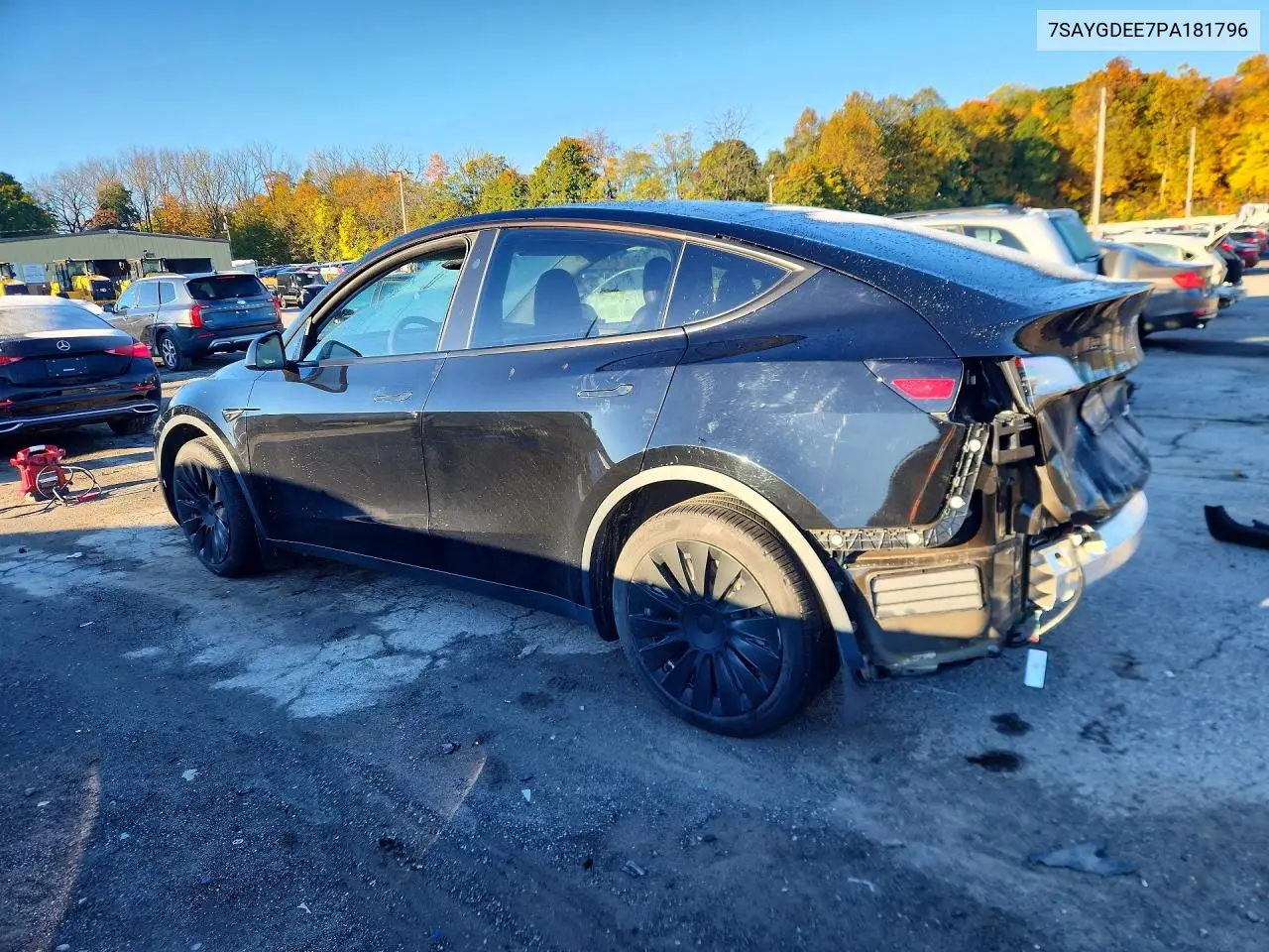 2023 TESLA MODEL Y VIN 7SAYGDEE7PA181796 — фото 2