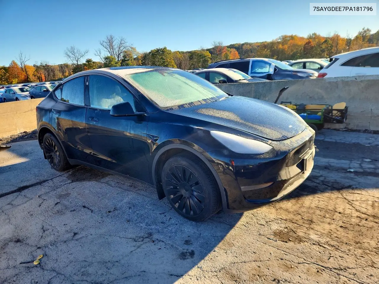 2023 TESLA MODEL Y VIN 7SAYGDEE7PA181796 — фото 4