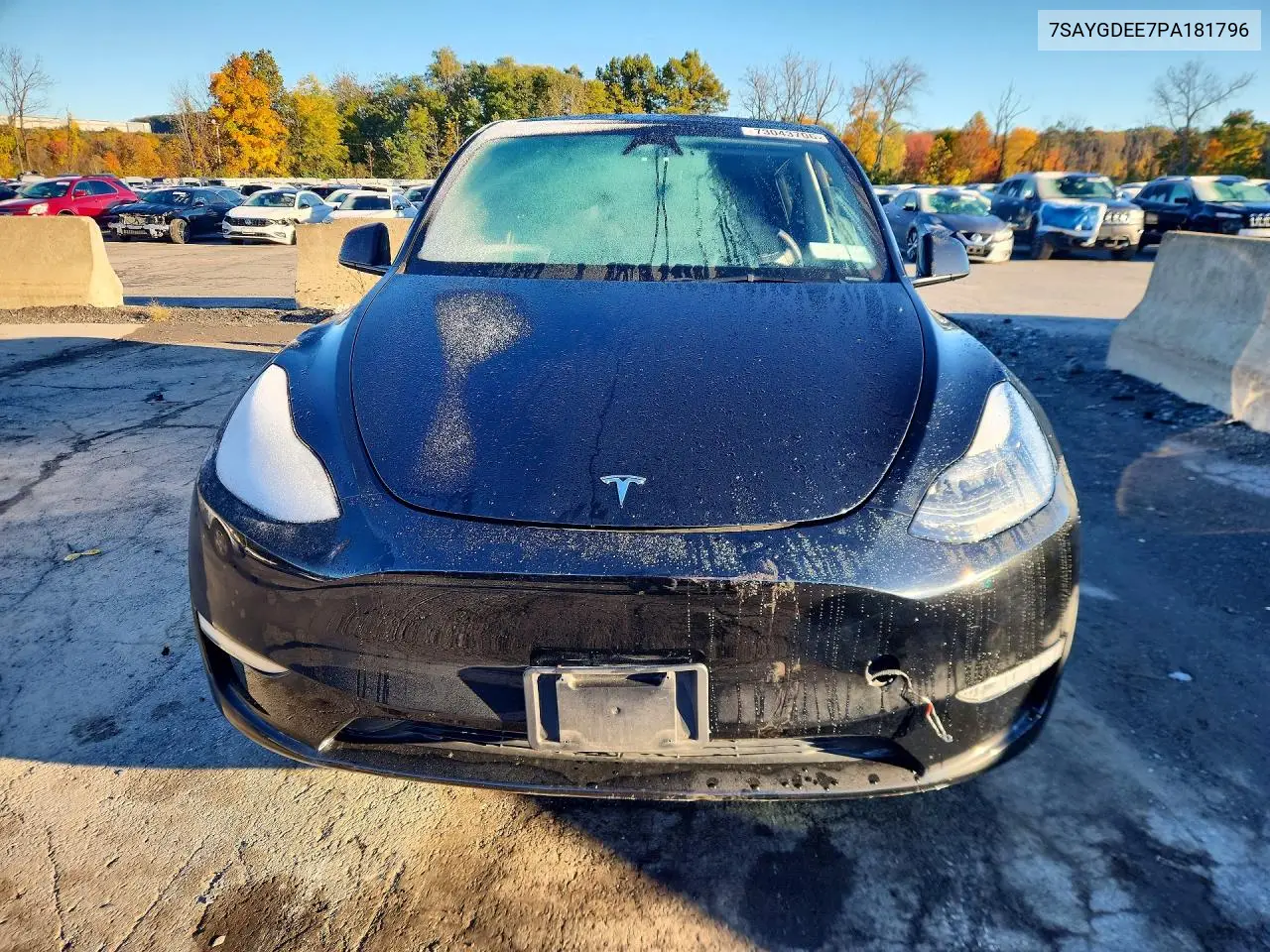 2023 TESLA MODEL Y VIN 7SAYGDEE7PA181796 — фото 5