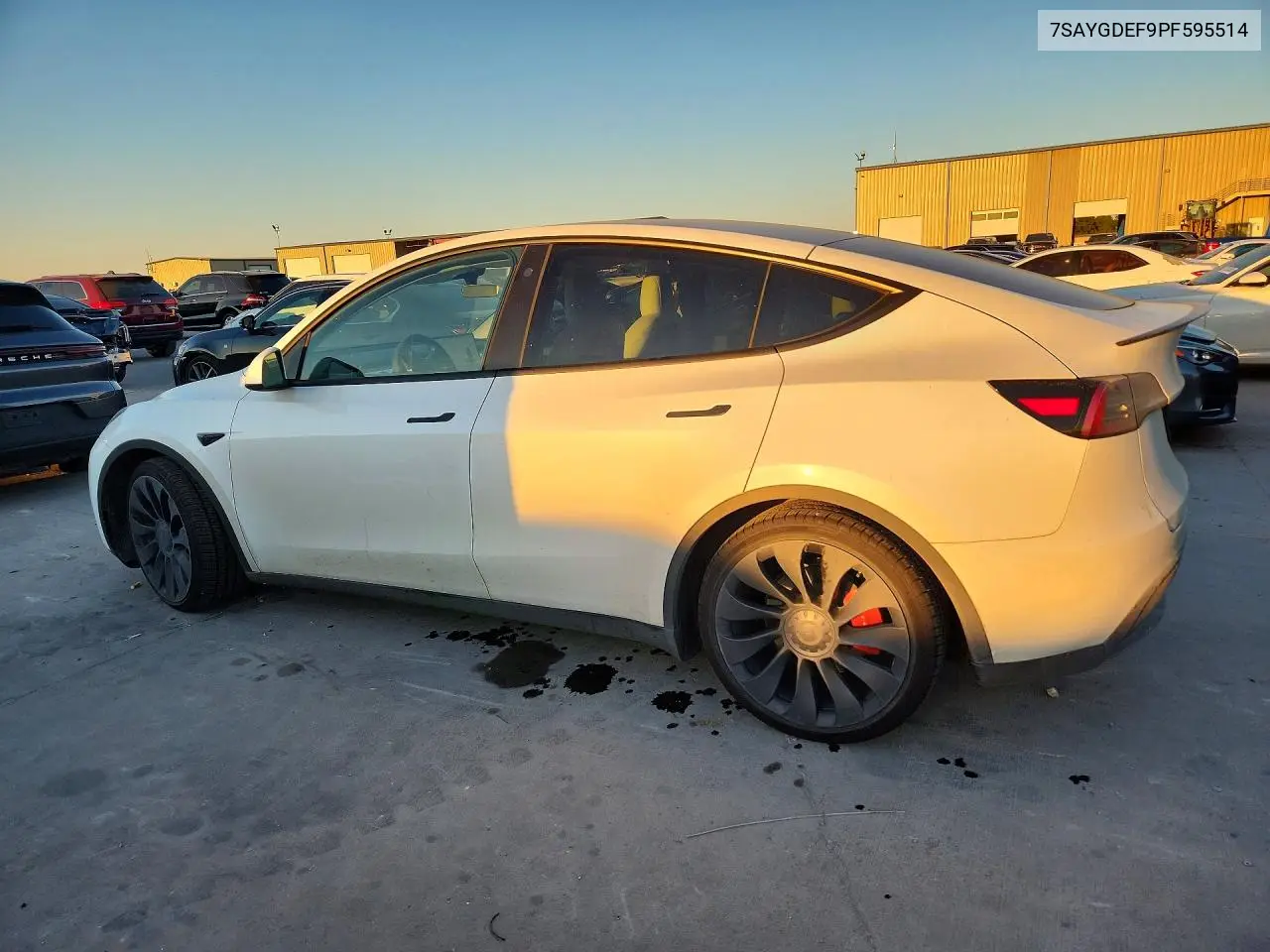 2023 TESLA MODEL Y VIN 7SAYGDEF9PF595514 — фото 2