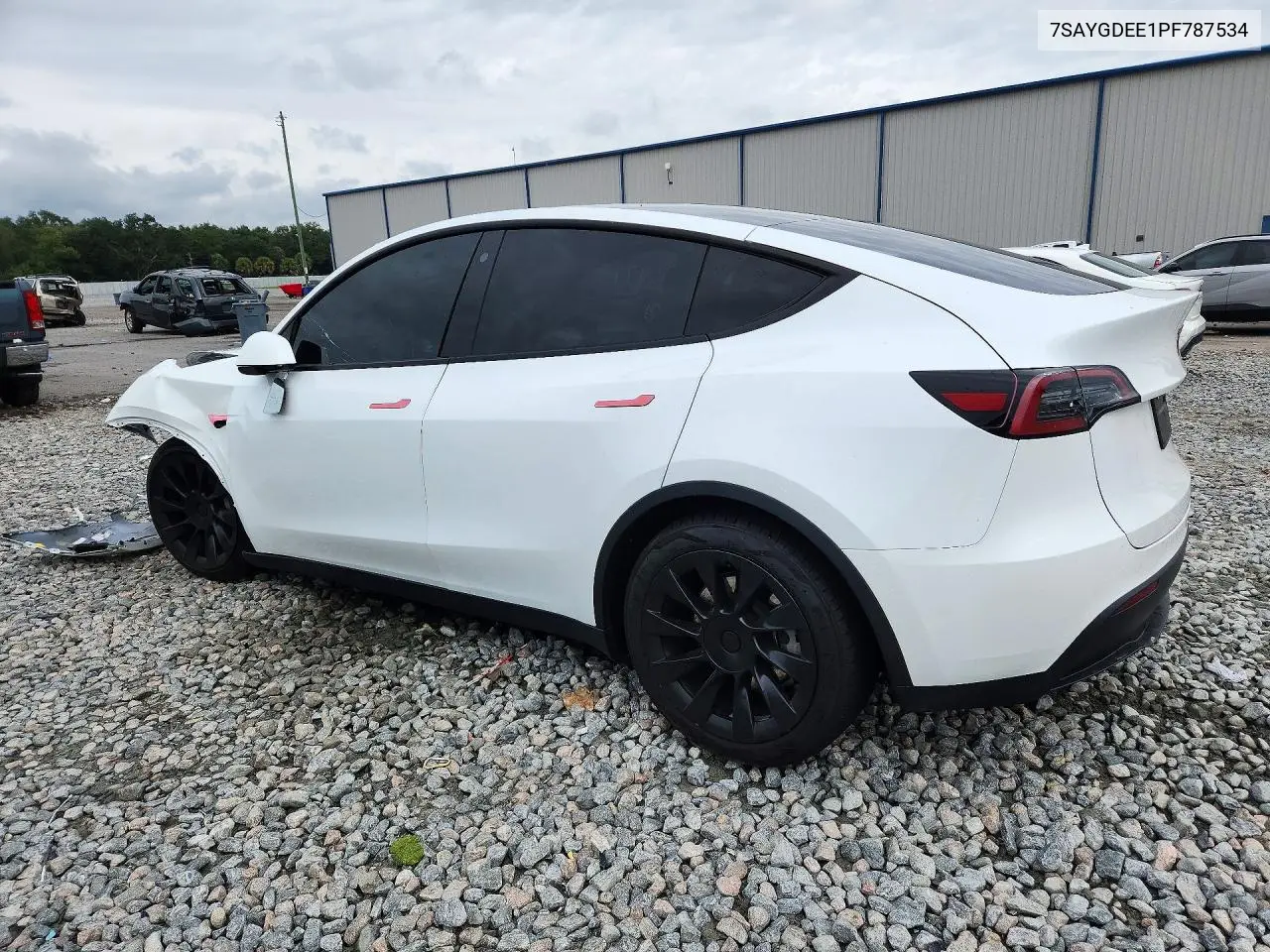 2023 TESLA MODEL Y VIN 7SAYGDEE1PF787534 — фото 2