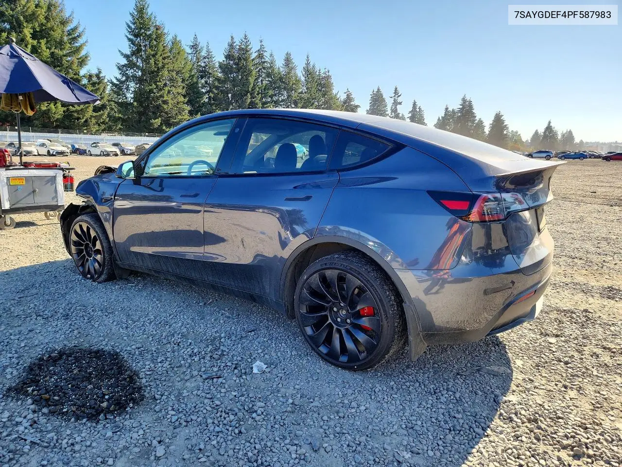 2023 TESLA MODEL Y VIN 7SAYGDEF4PF587983 — фото 2