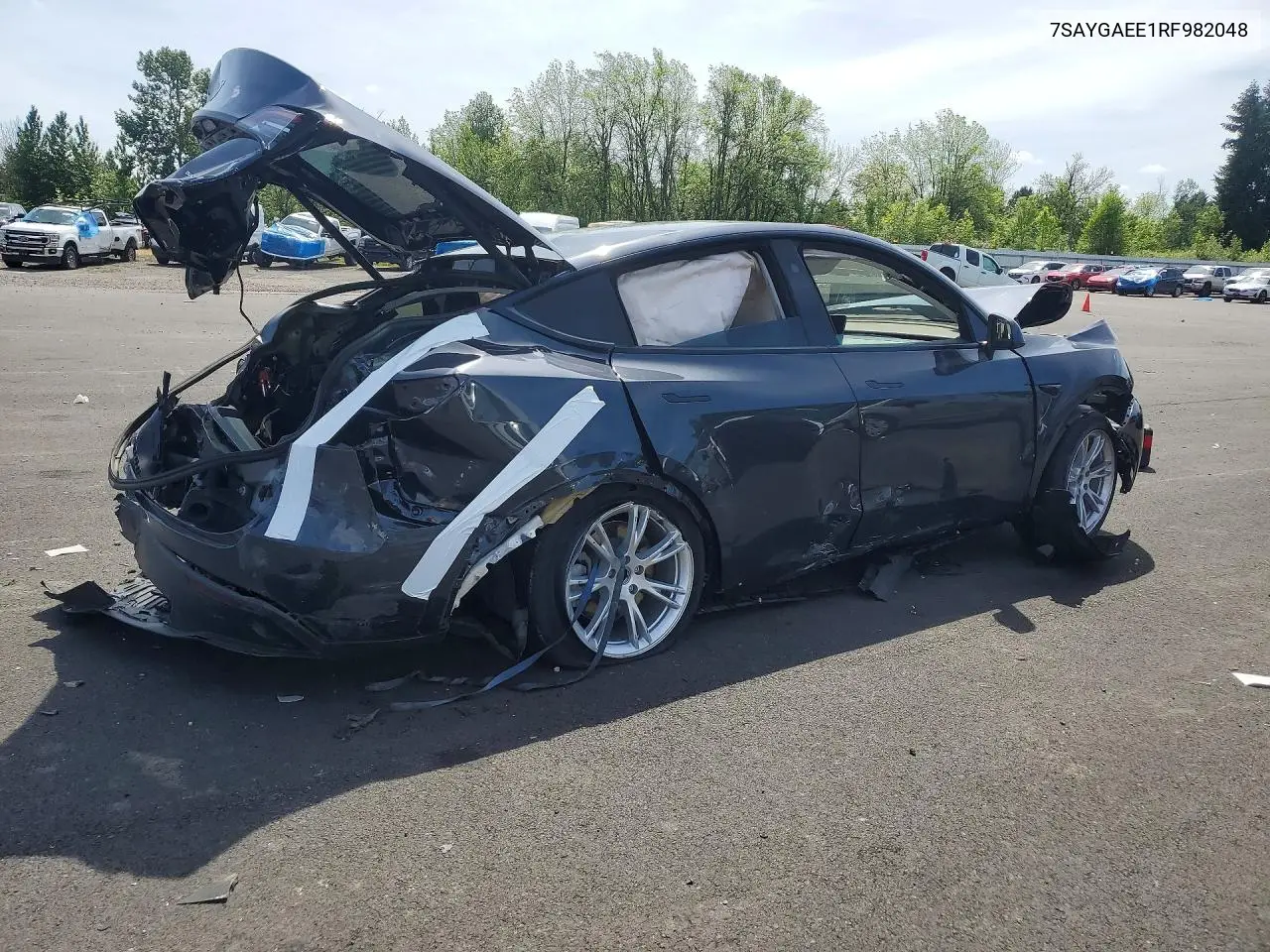 2024 TESLA MODEL Y VIN 7SAYGAEE1RF982048 — фото 3