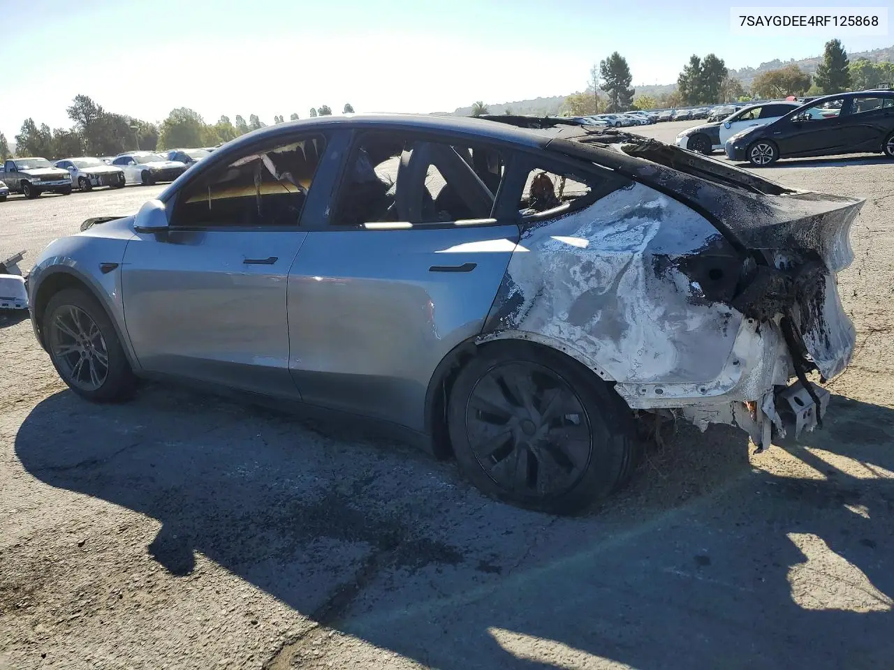 2024 TESLA MODEL Y VIN 7SAYGDEE4RF125868 — фото 2
